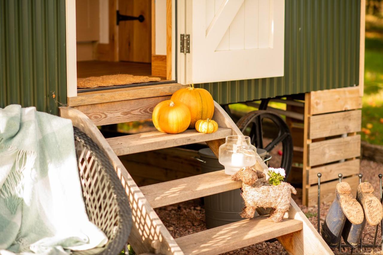 Harrys Hideout - Shepherd'S Huts At Harrys Cottages Pen-y-Clawdd Екстериор снимка